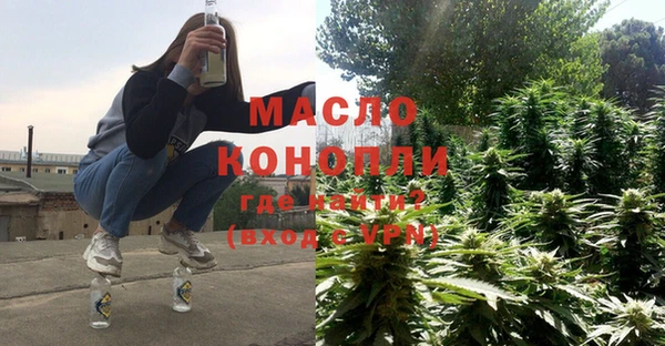 молекула духа Переславль-Залесский