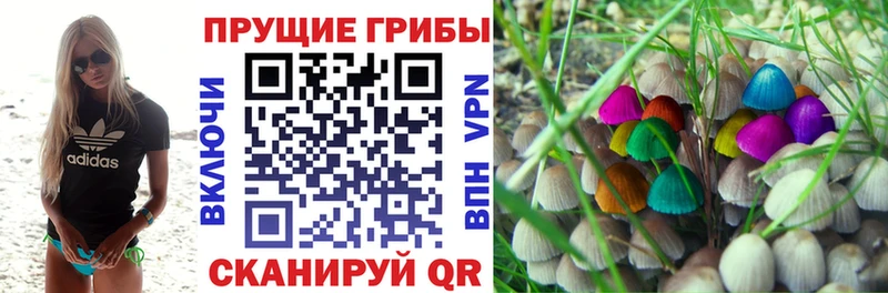 где можно купить наркотик  Печоры  kraken онион  Псилоцибиновые грибы ЛСД 