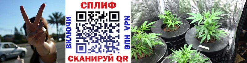 Марихуана LSD WEED  OMG онион  Печоры  что такое  